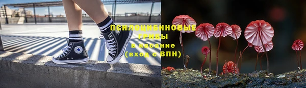 мет Аркадак