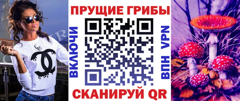 купить  цена  Калининец  Псилоцибиновые грибы ЛСД 