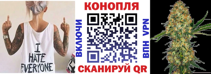 купить  сайты  Калининец  Бошки Шишки тримм 
